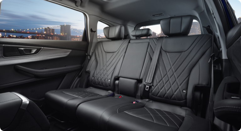 1st-class-cabin-tiggo-8