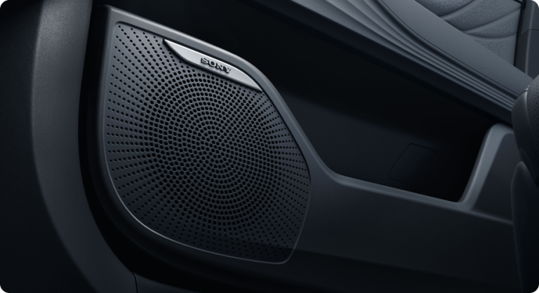 2-14-Sony-Speakers-tiggo9