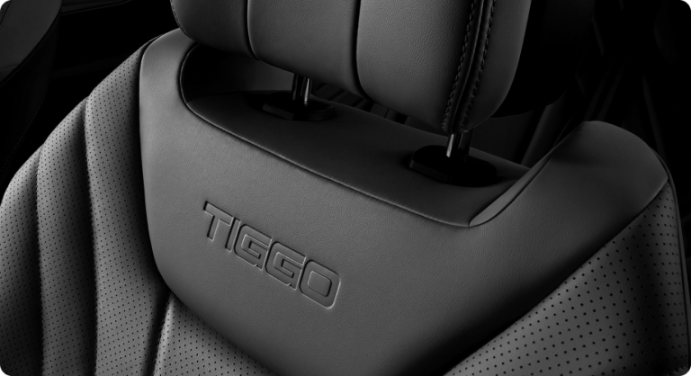 premium-leather-seat-tiggo-8